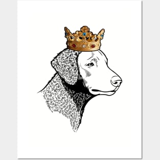 Curly-Coated Retriever Dog King Queen Wearing Crown Posters and Art